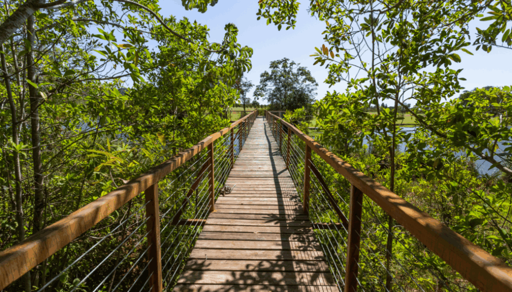 ecoturismo amas viajes