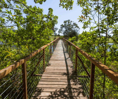 ecoturismo amas viajes