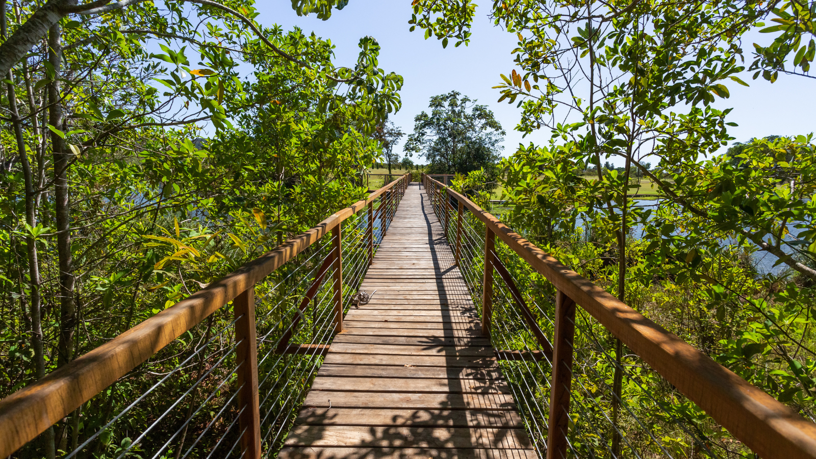 ecoturismo amas viajes