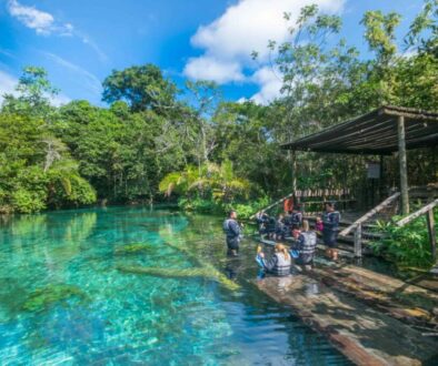 flutuacao-nascente-azul8